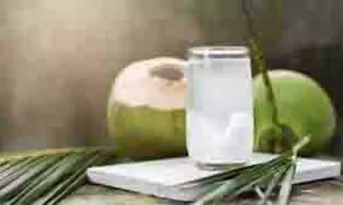 Coconut Water: त्वचा और बालों के लिए बहुत फायदेमंद है नारियल पानी, मिलेंगे कई फायदे
