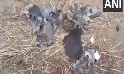 Pak द्वारा भारतीय हवाई क्षेत्र का उल्लंघन करने के बाद जालंधर में प्रक्षेप्य का मलबा बरामद किया गया