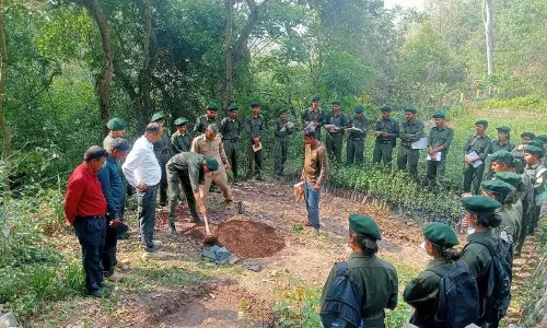 Himachal: हरित संरक्षक वन प्रबंधन में अग्रणी भूमिका निभा रहे Himachal: हरित संरक्षक वन प्रबंधन में अग्रणी भूमिका निभा रहे