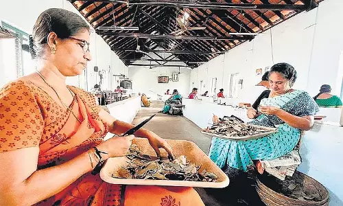 Kerala दिनेश बीड़ी ने अस्तित्व के लिए संघर्ष जारी रहने के कारण अपनी शाखाओं का विलय किया