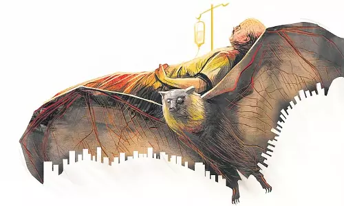 Nipah: मलप्पुरम की महिला की हालत गंभीर, 45 उच्च जोखिम वाले संपर्कों की सूची में