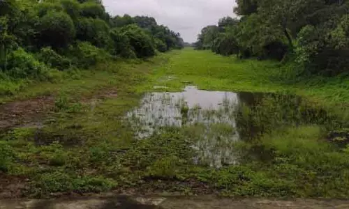Jajpur: एनसीएसयूवाई सिर्फ कागज़ों पर सीमित