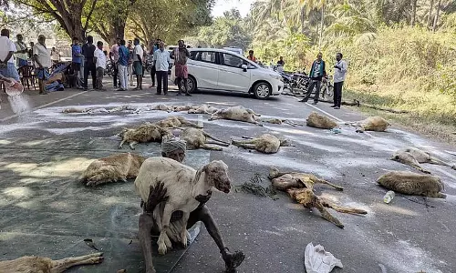 पशुओं पर आवारा कुत्तों के हमले के खिलाफ तमिलनाडु के किसान मुख्य सचिव से मिलेंगे