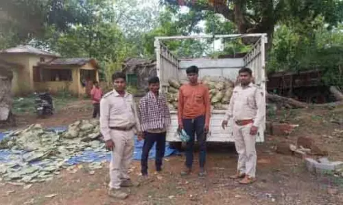 केंदू पत्ते ले जा रहा वाहन जब्त, दो लोग हिरासत में