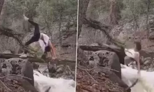 VIDEO: पेड़ पर चढ़कर स्टंट करने लगी लड़की, फिर जो हुआ...