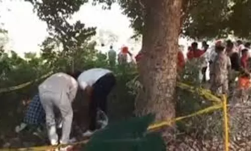 Ballia: पॉलीथिन में लिपटे मानव अंगों से सनसनी, बागीचे में मिले दो हाथ और दो पैर Ballia: पॉलीथिन में लिपटे मानव अंगों से सनसनी, बागीचे में मिले दो हाथ और दो पैर