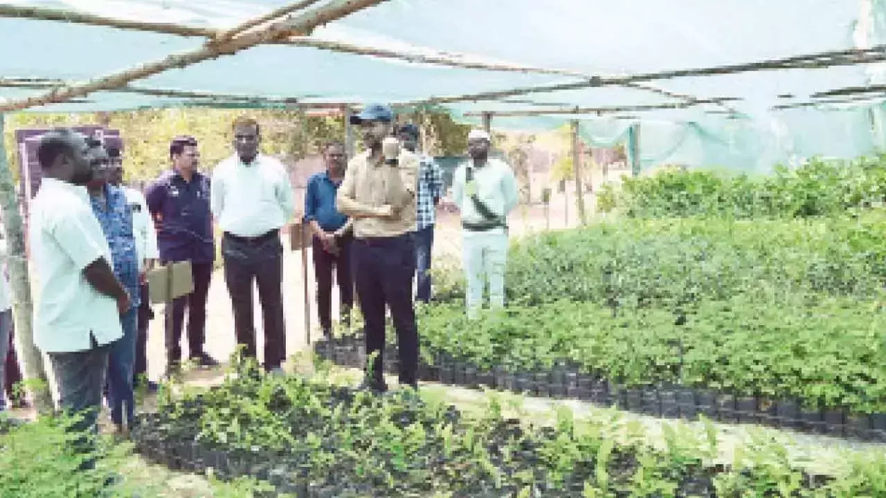 Telangana: हरियाली की रक्षा पर जोर दिया गया
