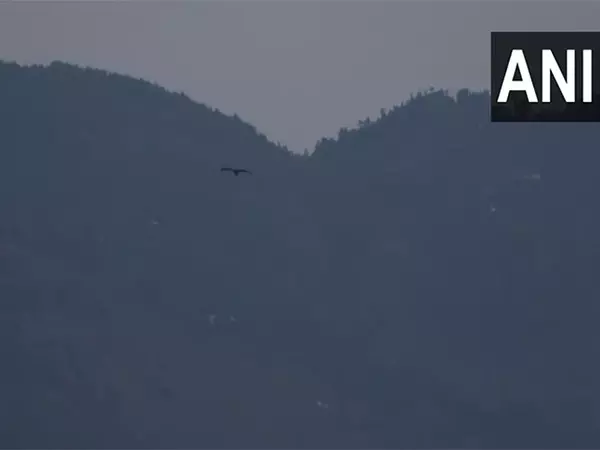 जम्मू, Poonch में स्थिति सामान्य, रात भर गोलाबारी की कोई सूचना नहीं जम्मू, Poonch में स्थिति सामान्य, रात भर गोलाबारी की कोई सूचना नहीं