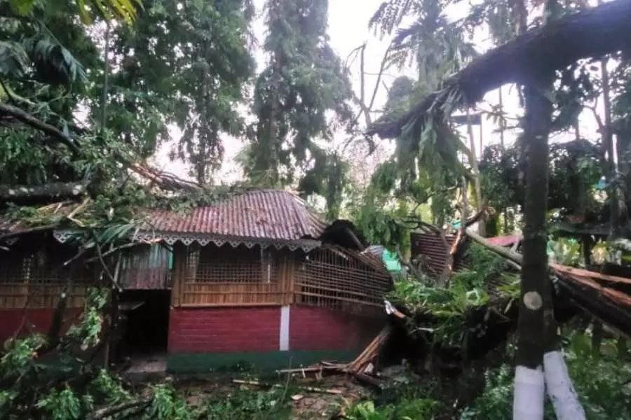 Alipurduar में तूफान ने मचाई तबाही, पेड़ों के गिरने से एक व्यक्ति की मौत Alipurduar में तूफान ने मचाई तबाही, पेड़ों के गिरने से एक व्यक्ति की मौत