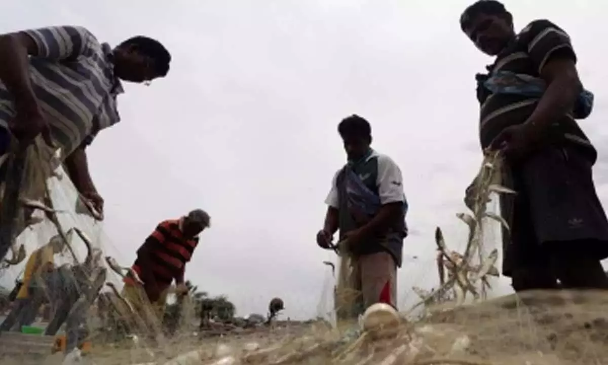 हाइड्रोकार्बन परियोजना का विरोध करने के लिए मछुआरा संघ आज कन्याकुमारी में बैठक करेंगे हाइड्रोकार्बन परियोजना का विरोध करने के लिए मछुआरा संघ आज कन्याकुमारी में बैठक करेंगे