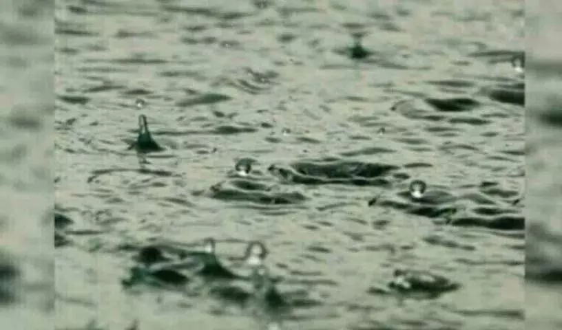 पूर्ववर्ती Karimnagar में कई स्थानों पर बेमौसम बारिश हुई पूर्ववर्ती Karimnagar में कई स्थानों पर बेमौसम बारिश हुई