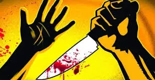 Sheopur में घरेलू विवाद बना हिंसा का कारण, छोटे भाई पर हमला Sheopur में घरेलू विवाद बना हिंसा का कारण, छोटे भाई पर हमला