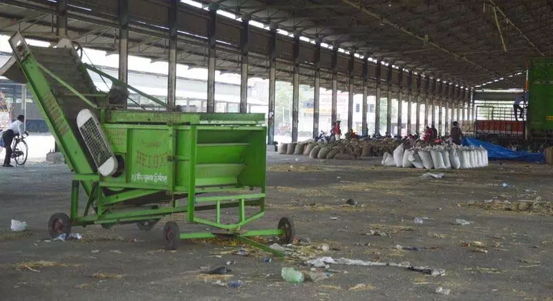 Ludhiana: जिले में गेहूं की खरीद समाप्ति की ओर Ludhiana: जिले में गेहूं की खरीद समाप्ति की ओर