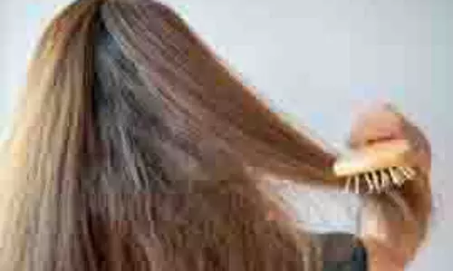 Hair Care: बालों का झड़ना होगा कंट्रोल जब दही और कॉफी का ऐसे करेंगे इस्तेमाल