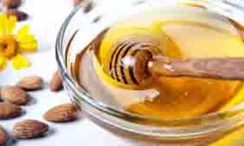 Health: पानी में शहद के साथ ये एक चीज मिलाकर पी लें, शरीर में जमा जिद्दी चर्बी पिघलने लगेगी Health: पानी में शहद के साथ ये एक चीज मिलाकर पी लें, शरीर में जमा जिद्दी चर्बी पिघलने लगेगी