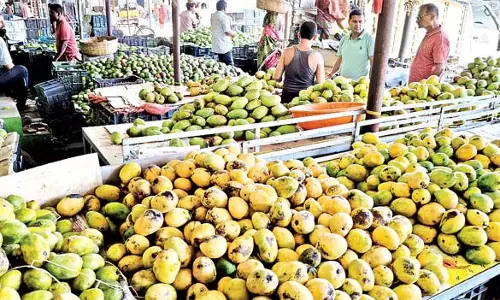 Brahmpura : आम और फल बाजार में चहल-पहल Brahmpura : आम और फल बाजार में चहल-पहल
