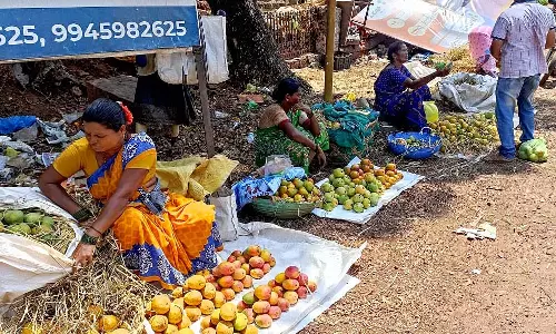 Karnataka : कुमटा में अंकोला आम का स्वाद Karnataka : कुमटा में अंकोला आम का स्वाद