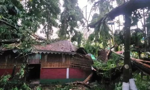 Alipurduar में तूफान ने मचाई तबाही, पेड़ों के गिरने से एक व्यक्ति की मौत Alipurduar में तूफान ने मचाई तबाही, पेड़ों के गिरने से एक व्यक्ति की मौत