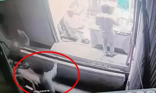 इंदौर में चाबी ढूंढ रहे युवक की संगमरमर की स्लैब के नीचे कुचलकर मौत, CCTV में कैद हुआ मामला