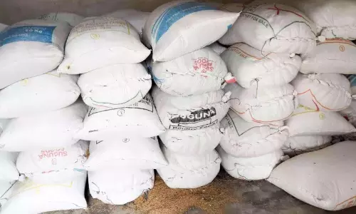 सप्लायको के स्टॉक में देरी हो रही है; धान के खेतों की रखवाली करते किसान सप्लायको के स्टॉक में देरी हो रही है; धान के खेतों की रखवाली करते किसान