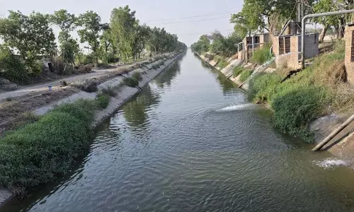 CM Mann ने राजस्थान को अतिरिक्त पानी छोड़ने का आदेश दिया