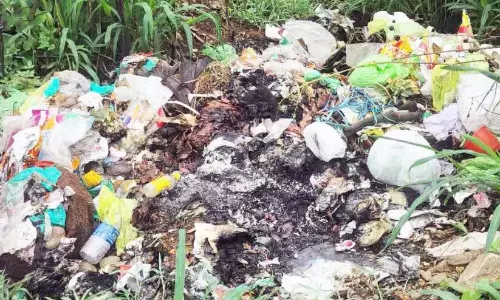 डेंगू बुखार पैर पसारता जा रहा है; पंचायत क्षेत्र में 41 लोग संक्रमित