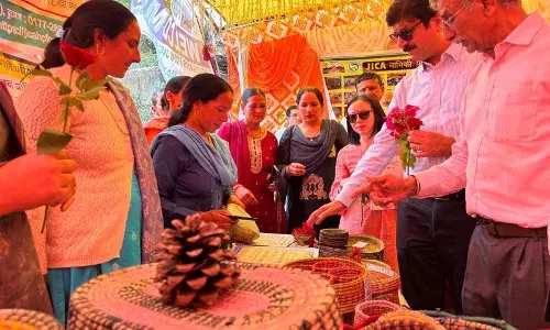 JICA ने महिलाओं के नेतृत्व में वन पुनरुद्धार की सराहना की JICA ने महिलाओं के नेतृत्व में वन पुनरुद्धार की सराहना की