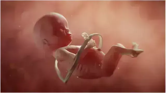 आशा कार्यकत्री करती है गर्भवती महिलाओं का ईलाज, Abortion कराते पकड़ी गई