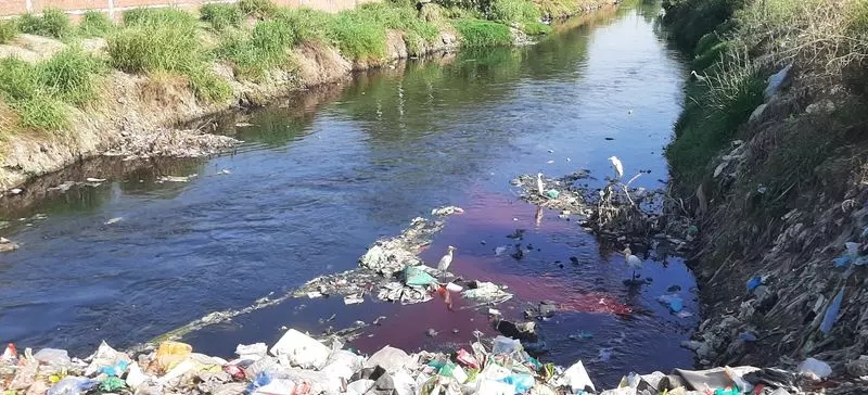 Panipat में 32 प्रदूषणकारी ब्लीच इकाइयों में से 9 को बंद करने का नोटिस जारी Panipat में 32 प्रदूषणकारी ब्लीच इकाइयों में से 9 को बंद करने का नोटिस जारी