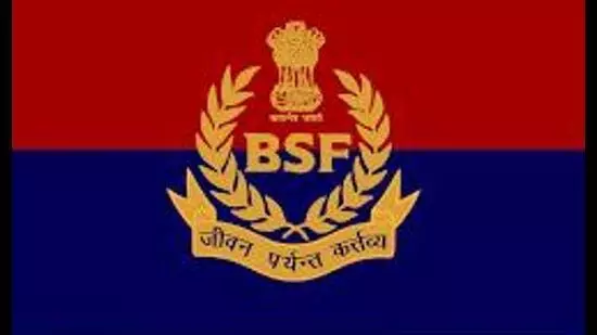 Punjab: फिरोजपुर में सीमा के पास से ड्रोन और पिस्तौल जब्त Punjab: फिरोजपुर में सीमा के पास से ड्रोन और पिस्तौल जब्त