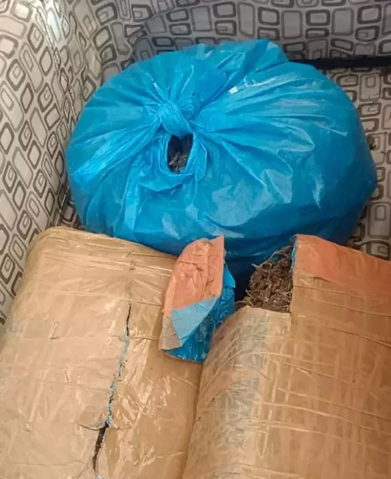 गोकुलधाम सोसायटी के पास गांजा तस्कर अरेस्ट, तलाश रहा था ग्राहक गोकुलधाम सोसायटी के पास गांजा तस्कर अरेस्ट, तलाश रहा था ग्राहक