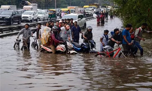 Haryana :  नगर निगम प्रमुख ने किया नरसिंहपुर का निरीक्षण