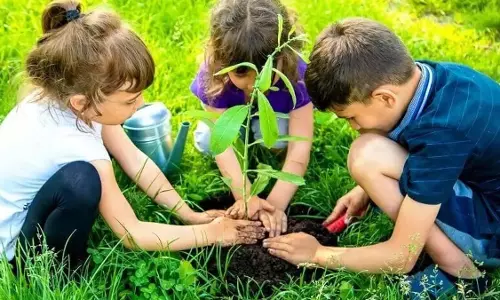 International पौध स्वास्थ्य दिवस: स्वस्थ ग्रह के लिए पेड़ों की महत्वपूर्ण भूमिका International पौध स्वास्थ्य दिवस: स्वस्थ ग्रह के लिए पेड़ों की महत्वपूर्ण भूमिका