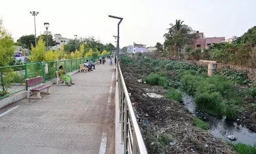हरित यातायात लेन; रखरखाव की समस्या हरित यातायात लेन; रखरखाव की समस्या