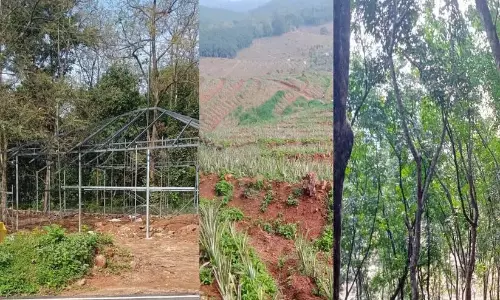 पीरुमेदु टीआरएंडटी एस्टेट में अवैध निर्माण को अधिकारियों के सहयोग से रोका जाना चाहिए - Welfare Party पीरुमेदु टीआरएंडटी एस्टेट में अवैध निर्माण को अधिकारियों के सहयोग से रोका जाना चाहिए - Welfare Party