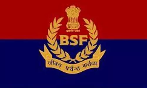 Punjab: फिरोजपुर में सीमा के पास से ड्रोन और पिस्तौल जब्त