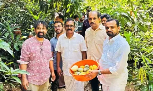 एक आम में अस्सी से अधिक विभिन्न आम होते हैं; अब्दु के परीक्षण जारी एक आम में अस्सी से अधिक विभिन्न आम होते हैं; अब्दु के परीक्षण जारी