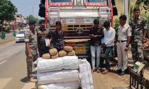 ट्रक से 1 क्विंटल गांजा जब्त, बाजार में कीमत 20 लाख ट्रक से 1 क्विंटल गांजा जब्त, बाजार में कीमत 20 लाख