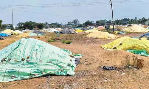 Telangana : जिधर देखो उधर अनाज के ढेर Telangana : जिधर देखो उधर अनाज के ढेर