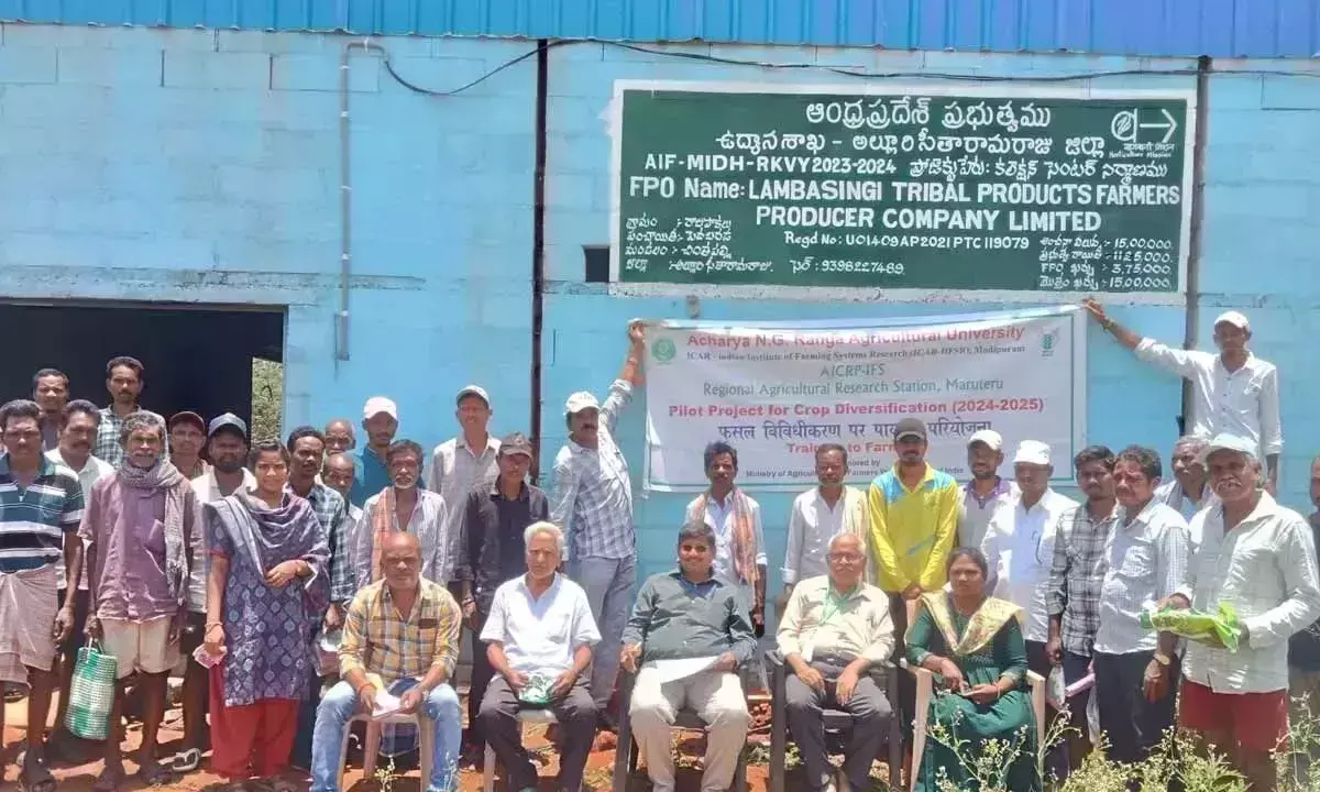 HCC ने फसल विविधीकरण प्रशिक्षण कार्यक्रम आयोजित किया HCC ने फसल विविधीकरण प्रशिक्षण कार्यक्रम आयोजित किया
