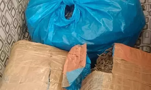 गोकुलधाम सोसायटी के पास गांजा तस्कर अरेस्ट, तलाश रहा था ग्राहक