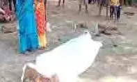 Jharkhand : टनल हादसे में मजदूर की मौत, शव नहीं मिला तो परिजनों ने डमी बनाकर किया अंतिम संस्कार Jharkhand : टनल हादसे में मजदूर की मौत, शव नहीं मिला तो परिजनों ने डमी बनाकर किया अंतिम संस्कार