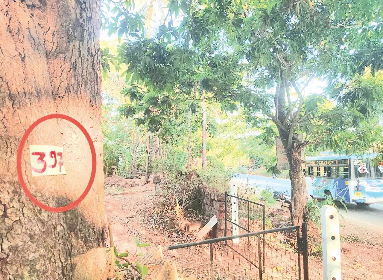 राजमार्ग विस्तार सर्वेक्षण शुरू होने पर Chinchinim में तनाव राजमार्ग विस्तार सर्वेक्षण शुरू होने पर Chinchinim में तनाव