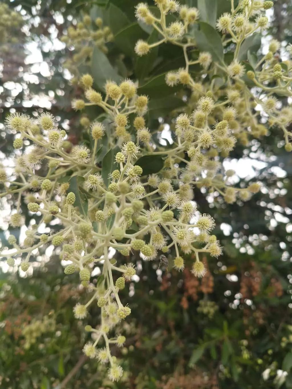 नए लेआउट के लिए सजावट; स्वास्थ्य के लिए खतरनाक नए लेआउट के लिए सजावट; स्वास्थ्य के लिए खतरनाक