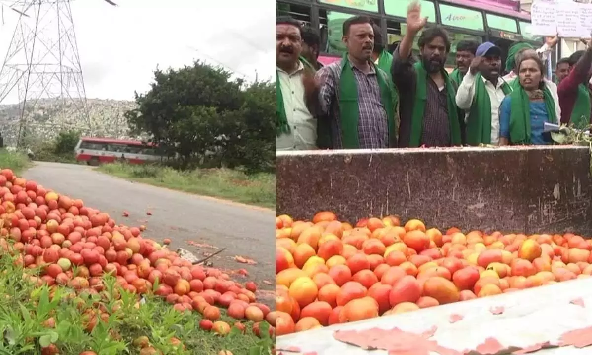 Karnataka: टमाटर की कीमतों में भारी गिरावट, किसानों को भारी नुकसान Karnataka: टमाटर की कीमतों में भारी गिरावट, किसानों को भारी नुकसान
