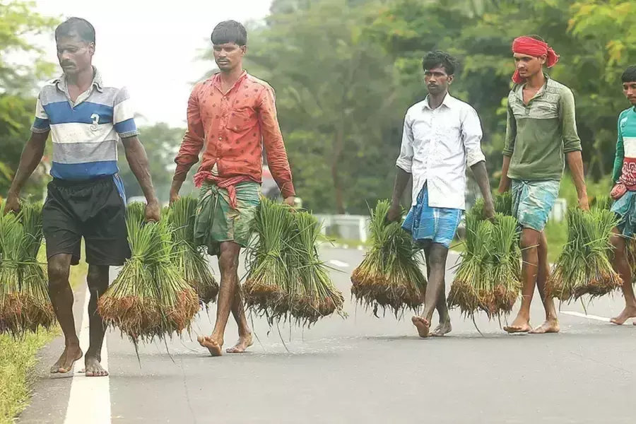 Kerala ने प्रवासी श्रमिक पंजीकरण और लाइसेंस शुल्क में 300 रुपये तक की वृद्धि की Kerala ने प्रवासी श्रमिक पंजीकरण और लाइसेंस शुल्क में 300 रुपये तक की वृद्धि की