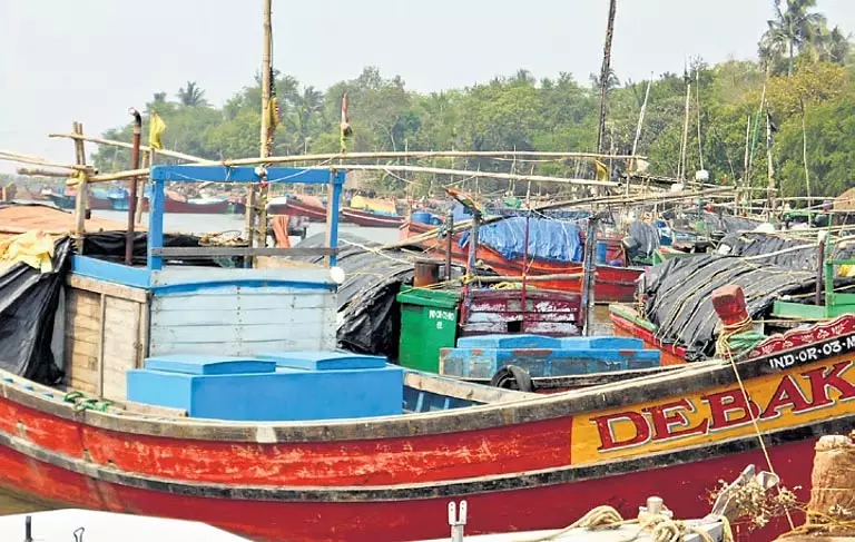 मछली पकड़ने पर प्रतिबंध से Kendrapara में समुद्री खाद्य पदार्थों की कीमतें बढ़ीं मछली पकड़ने पर प्रतिबंध से Kendrapara में समुद्री खाद्य पदार्थों की कीमतें बढ़ीं