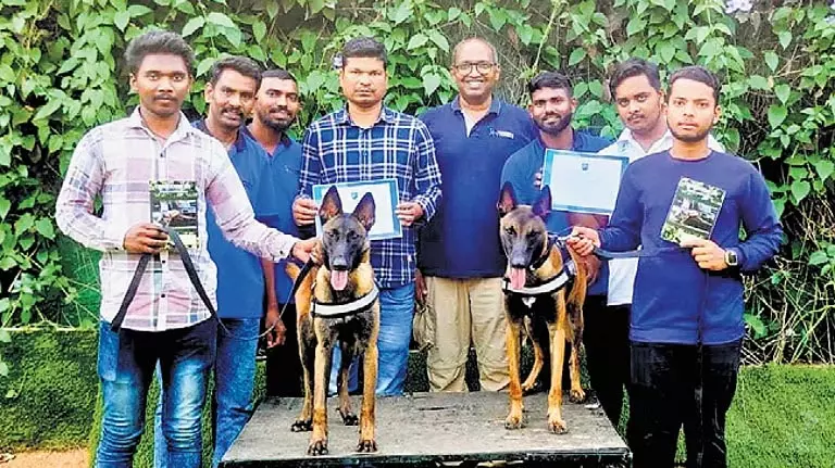 Odisha: सिमिलिपाल टाइगर रिजर्व में दो नए बेल्जियन मैलिनोइस Odisha: सिमिलिपाल टाइगर रिजर्व में दो नए बेल्जियन मैलिनोइस