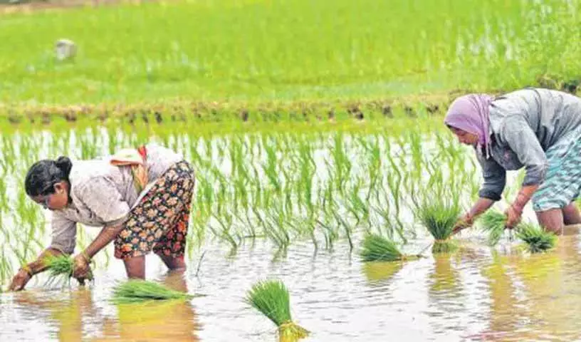 CPI ने कांग्रेस सरकार से लंबित फसल ऋण माफ करने की मांग की CPI ने कांग्रेस सरकार से लंबित फसल ऋण माफ करने की मांग की