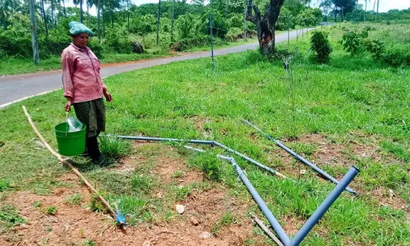 Kerala : जंगली हाथी ने अरलम फार्म में बिजली की बाड़ तोड़ी Kerala : जंगली हाथी ने अरलम फार्म में बिजली की बाड़ तोड़ी